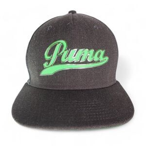 Puma Way 1 Script Dry Cell Snapback Logo Hat Grey / Green 053065 04 OSFM